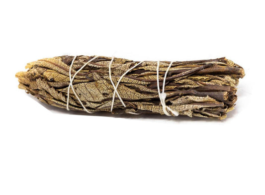 Smudge di Yerba Santa - Guarigione