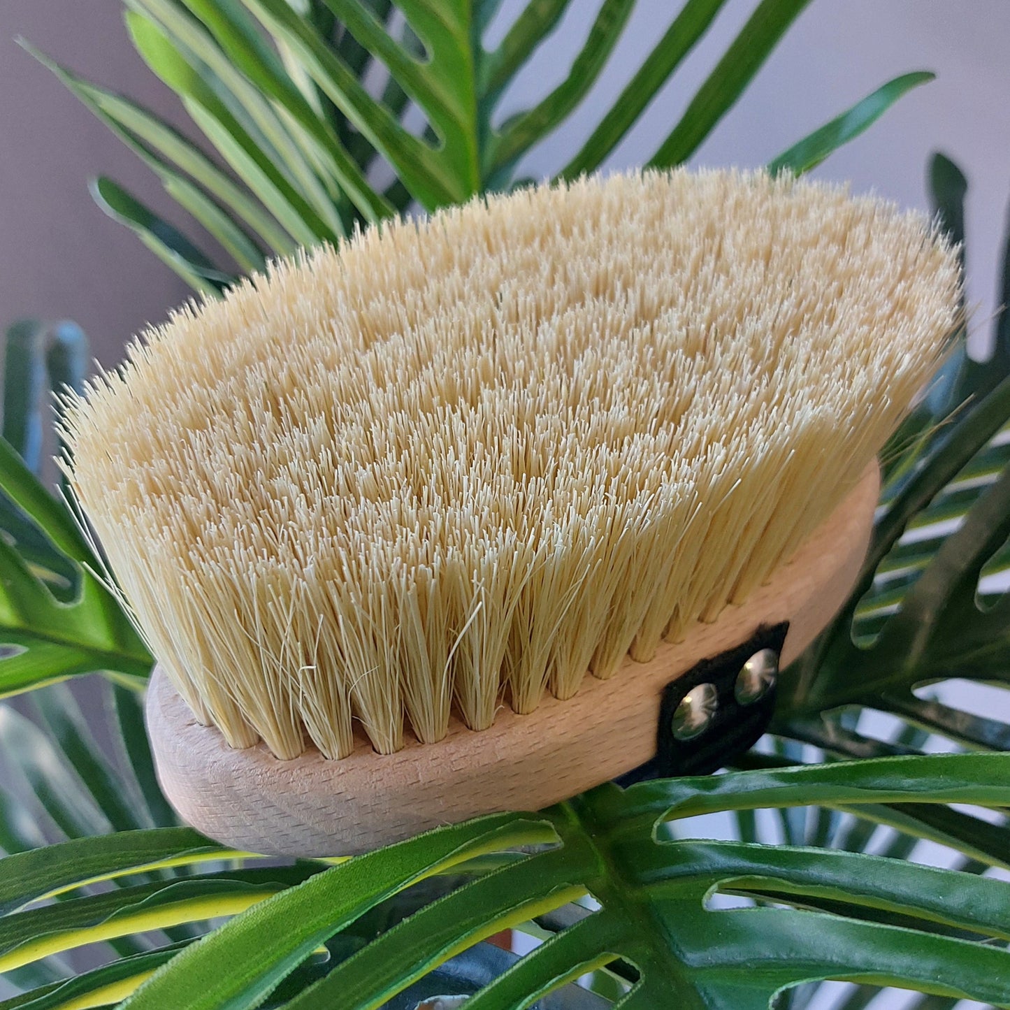 Spazzola per Dry Brushing in legno di faggio e tampico