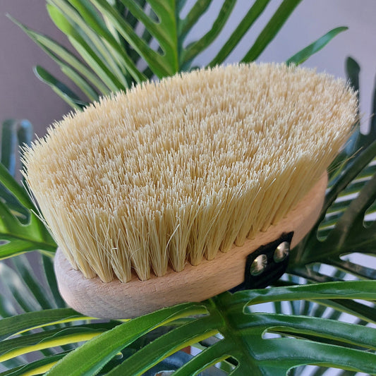 Spazzola per Dry Brushing in legno di faggio e tampico