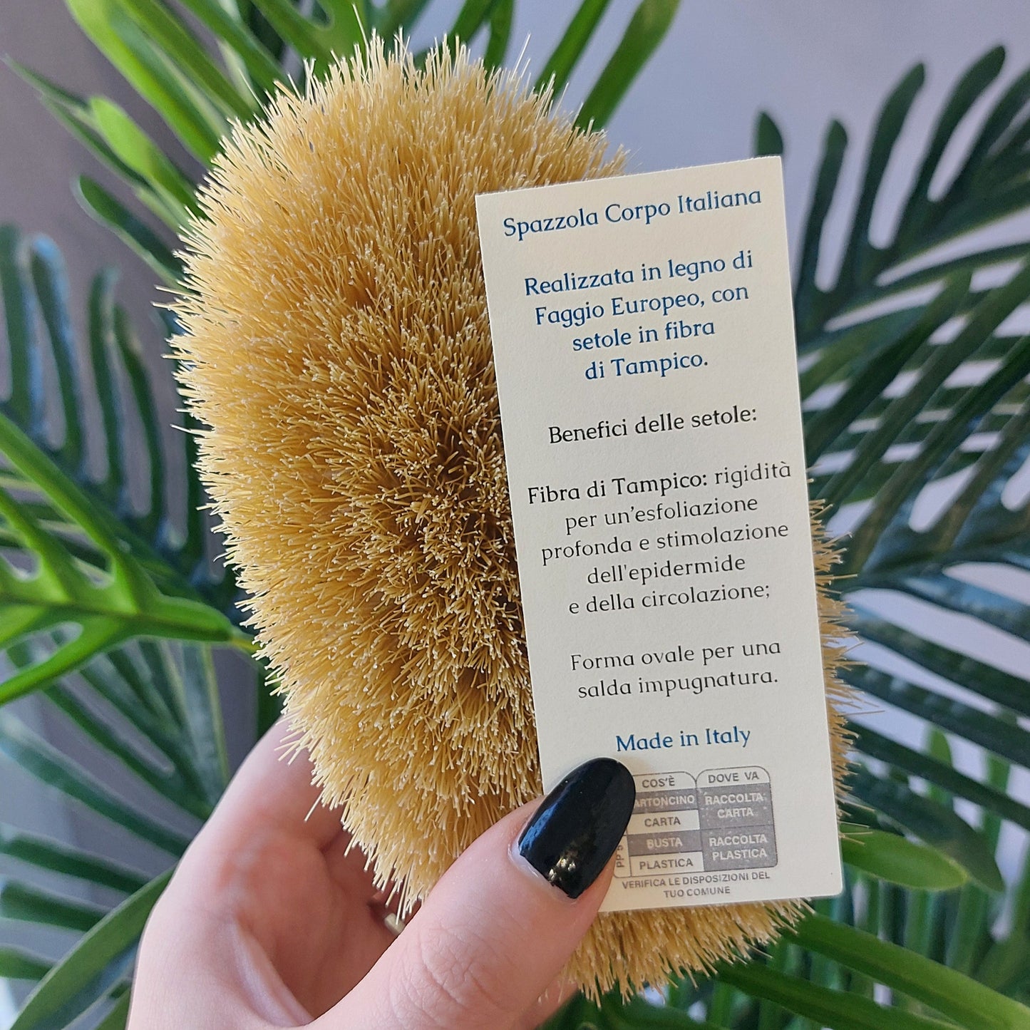 Spazzola per Dry Brushing in legno di faggio e tampico