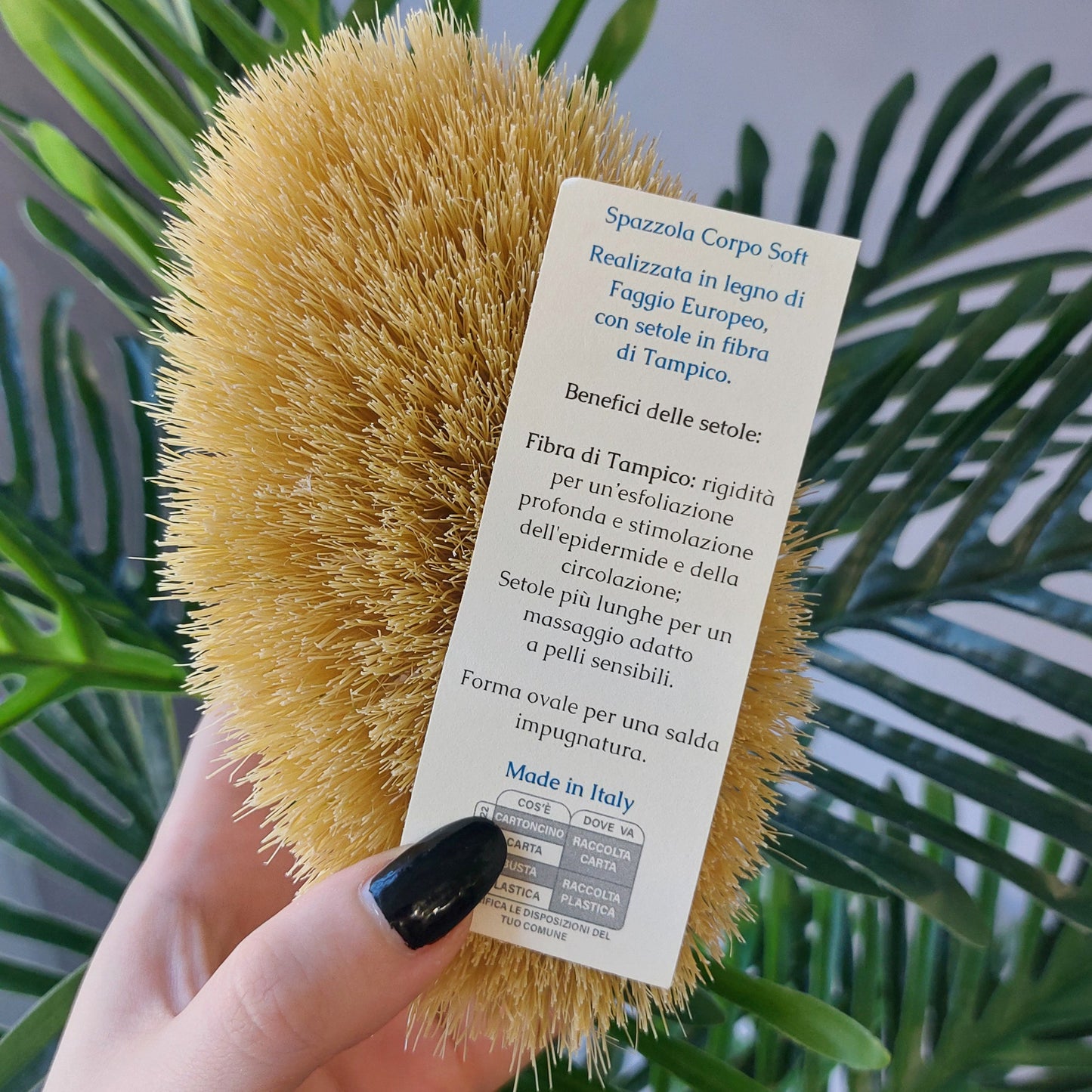 Spazzola per Dry Brushing in legno di faggio e tampico