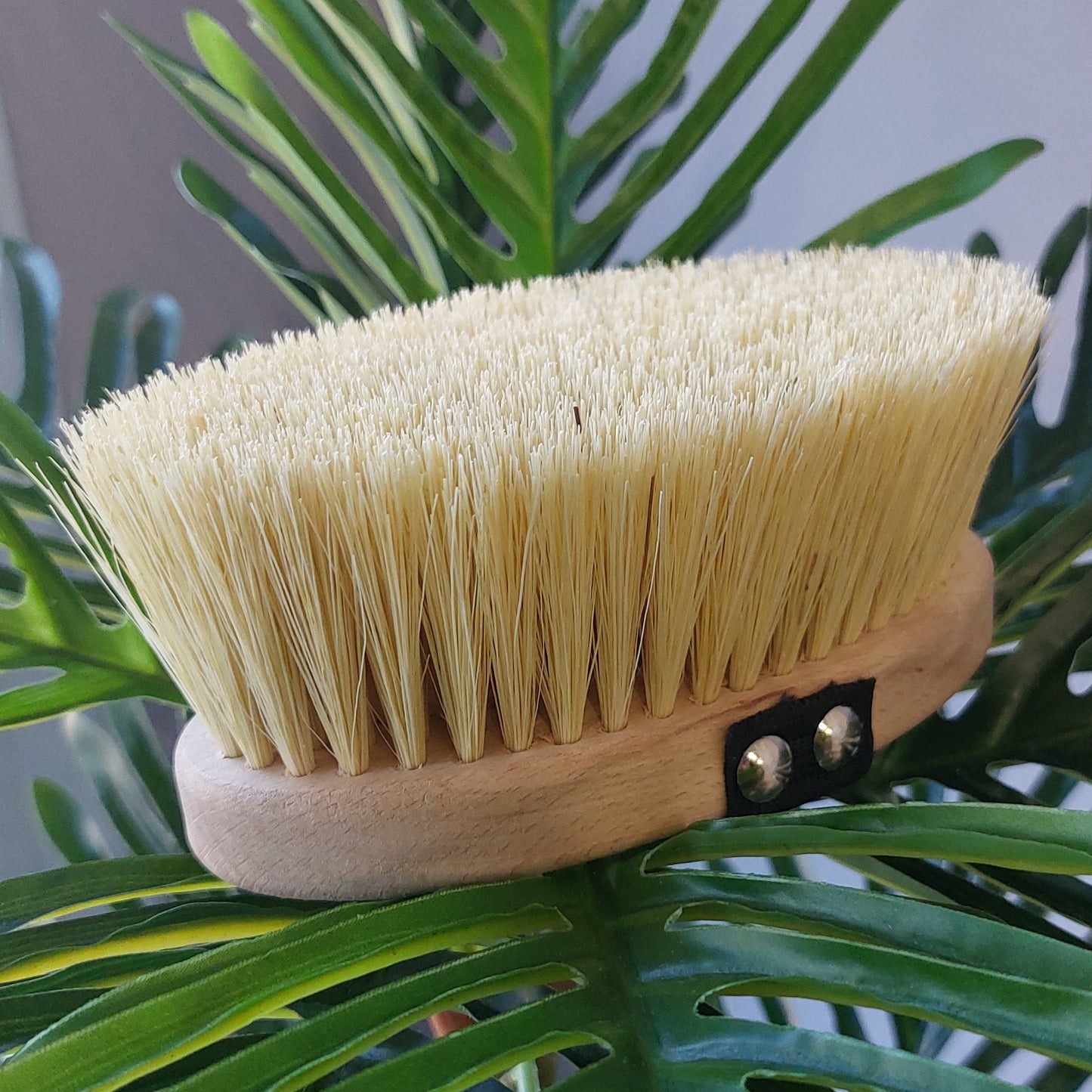 Spazzola per Dry Brushing in legno di faggio e tampico