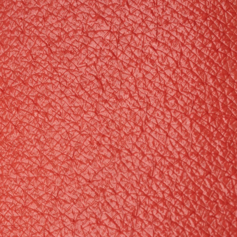 Rossetto Spring Peach - Neve Cosmetics