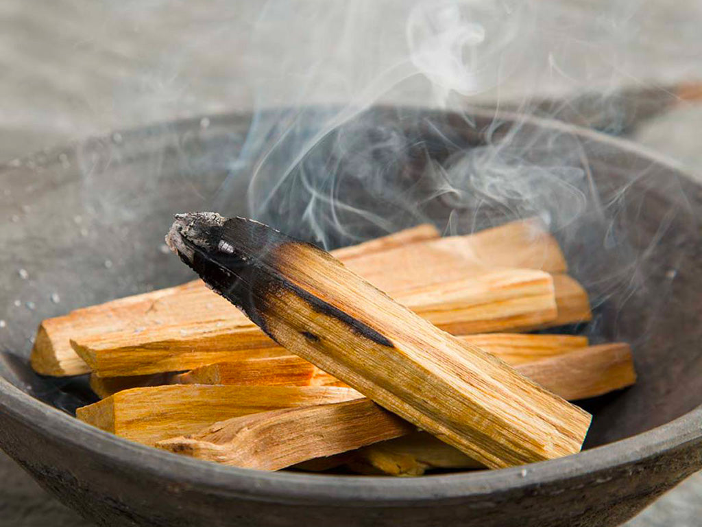 Palo santo (confezione da 3 legnetti)