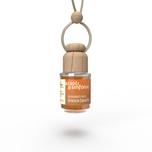Deo Auto Arancio e Cannella