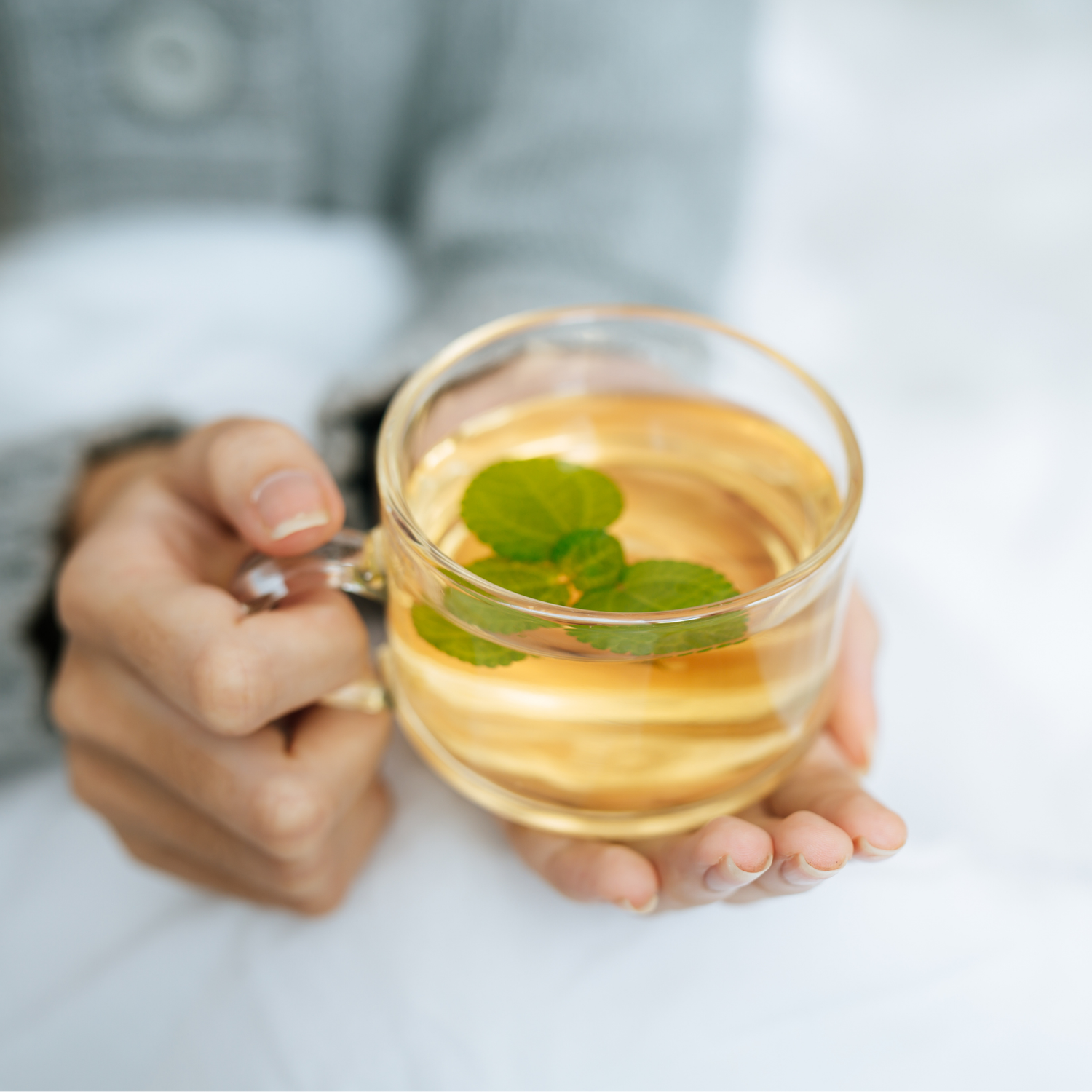 Infusi e Tisane