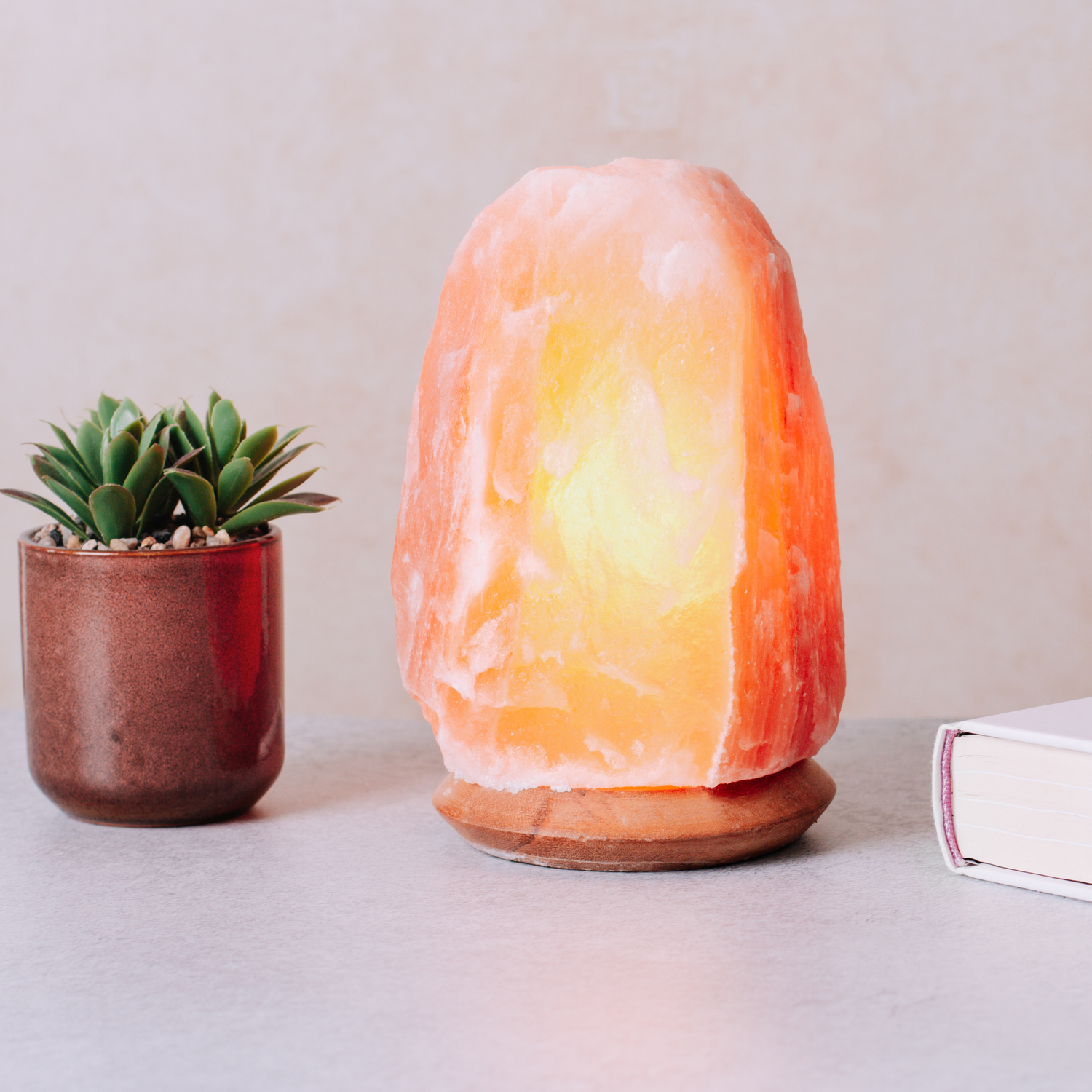 Lampade di Sale Rosa dell'Himalaya