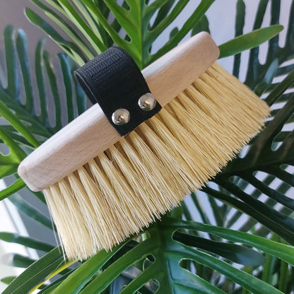 Spazzola per Dry Brushing in legno di faggio e tampico