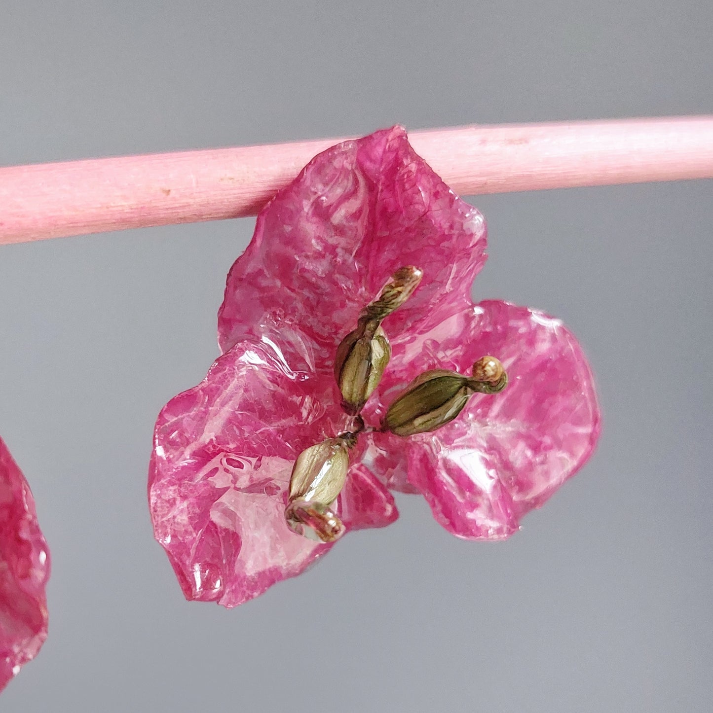 Orecchini Bouganville