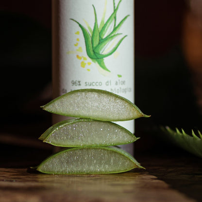 Succo di Aloe con Estratto di Elicriso - La Selva Positano