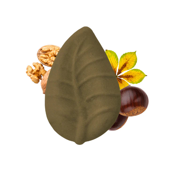 Balsamo solido Castagna e Noce - Officina dei Saponi