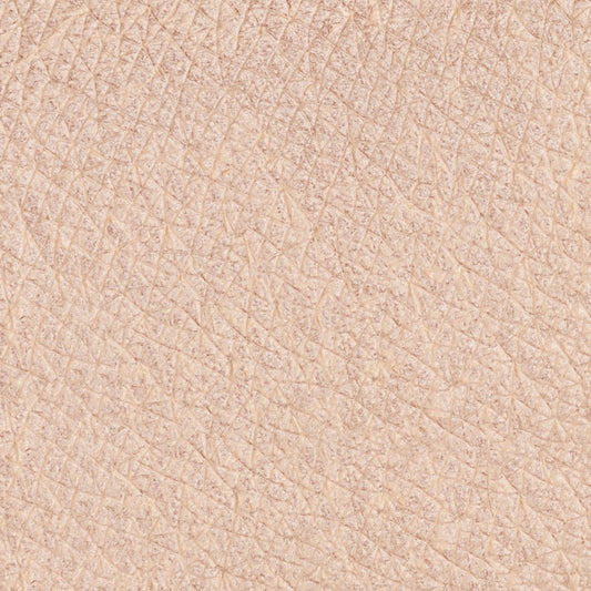 Pastello Occhi Avorio - Neve Cosmetics