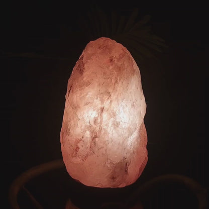 Lampada di Sale Rosa Himalayano HIMALIGHT 3-4kg