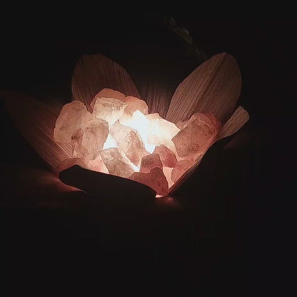 Lampada di Sale Rosa Himalayano – Braciere con Foglie di Cocco