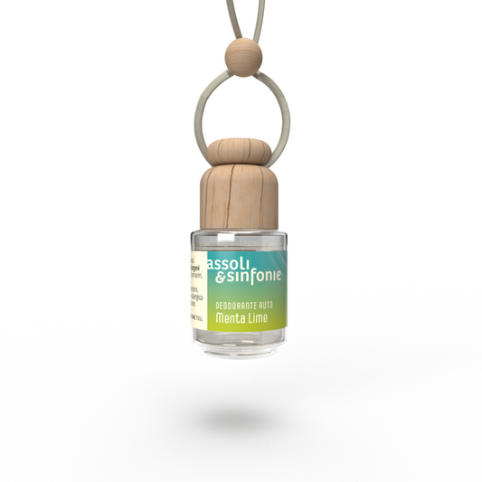 Deo Auto Menta e Lime