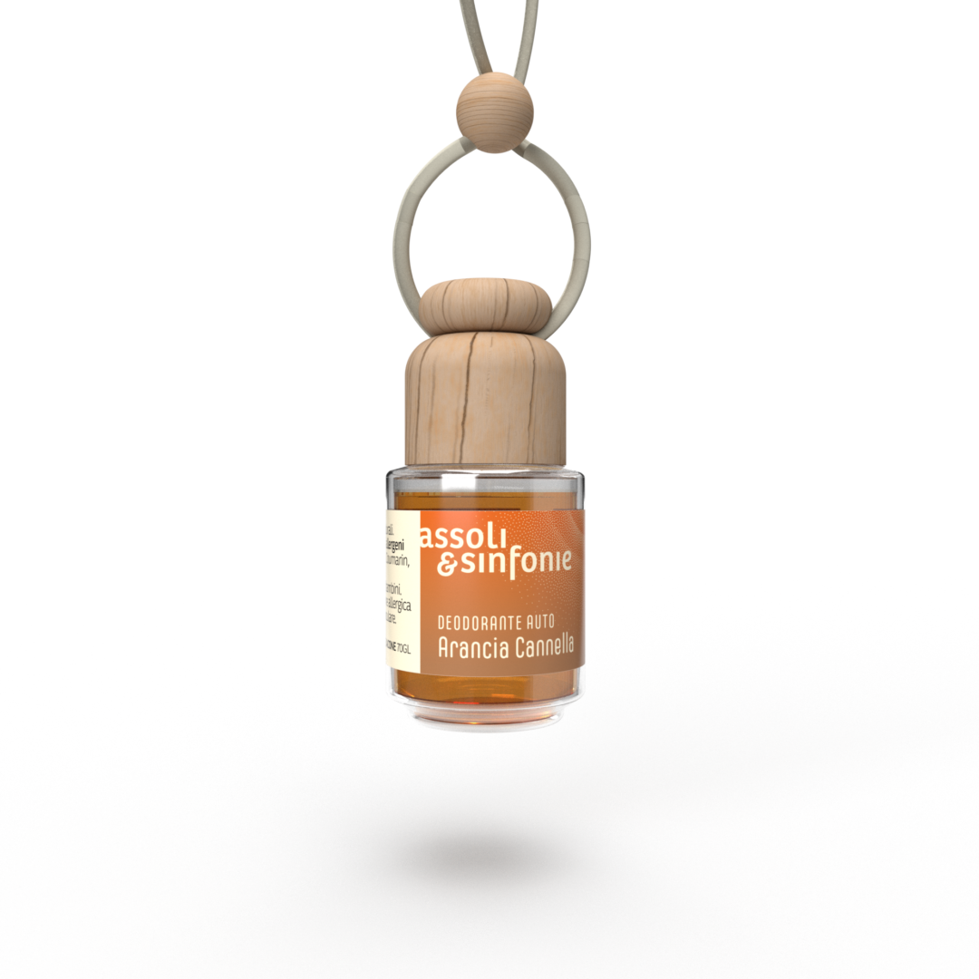 Deo Auto Arancio e Cannella