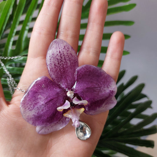 Orecchini e Collana con vere orchidee - Parure Botanica "Orchidee di Luce"