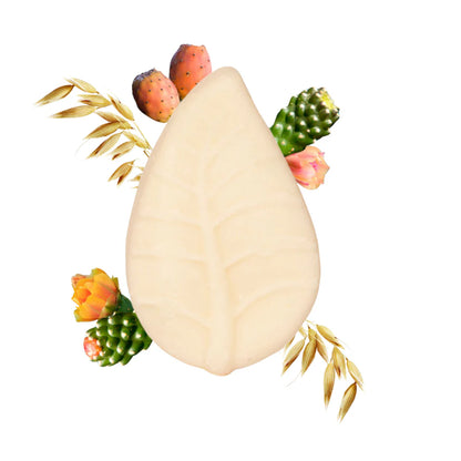 Shampoo solido Avena e Fico d'India per tutti i tipi di capelli - Officina dei Saponi